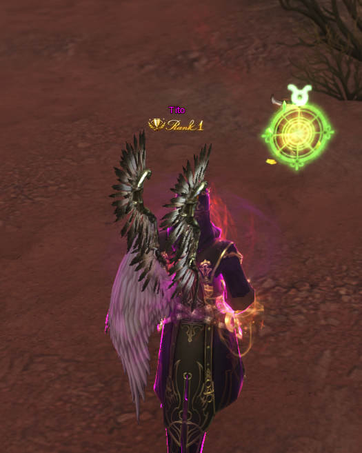Winged Hussar Wings